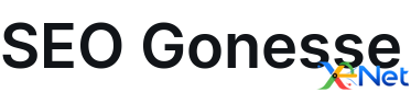 SEO Gonesse